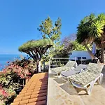 Apartman Another Day In Paradise *